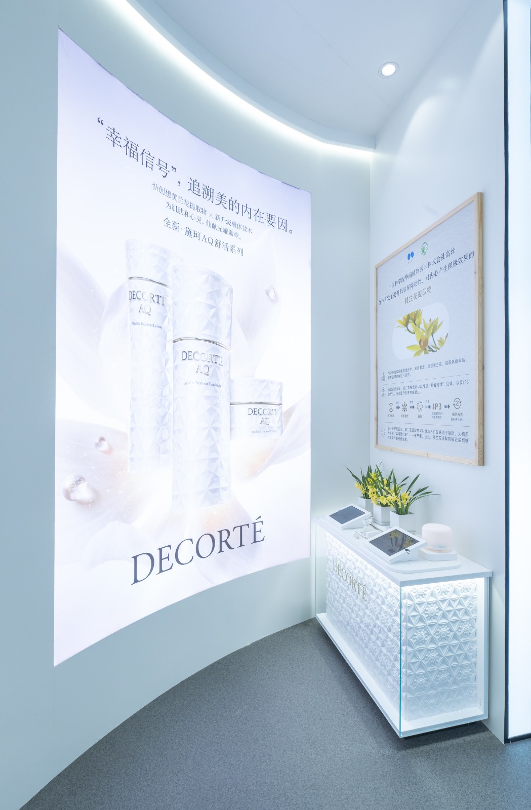黛珂新AQ展台.jpg