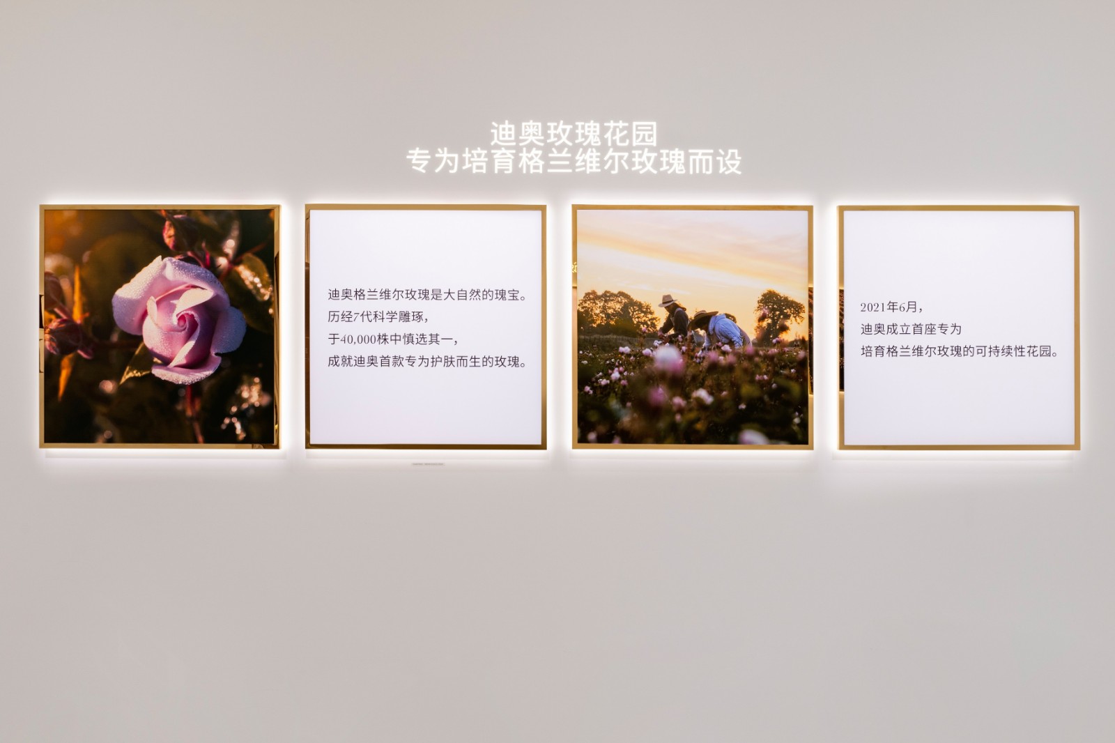 2024迪奥花秘护肤科技峰会空景图16.jpg