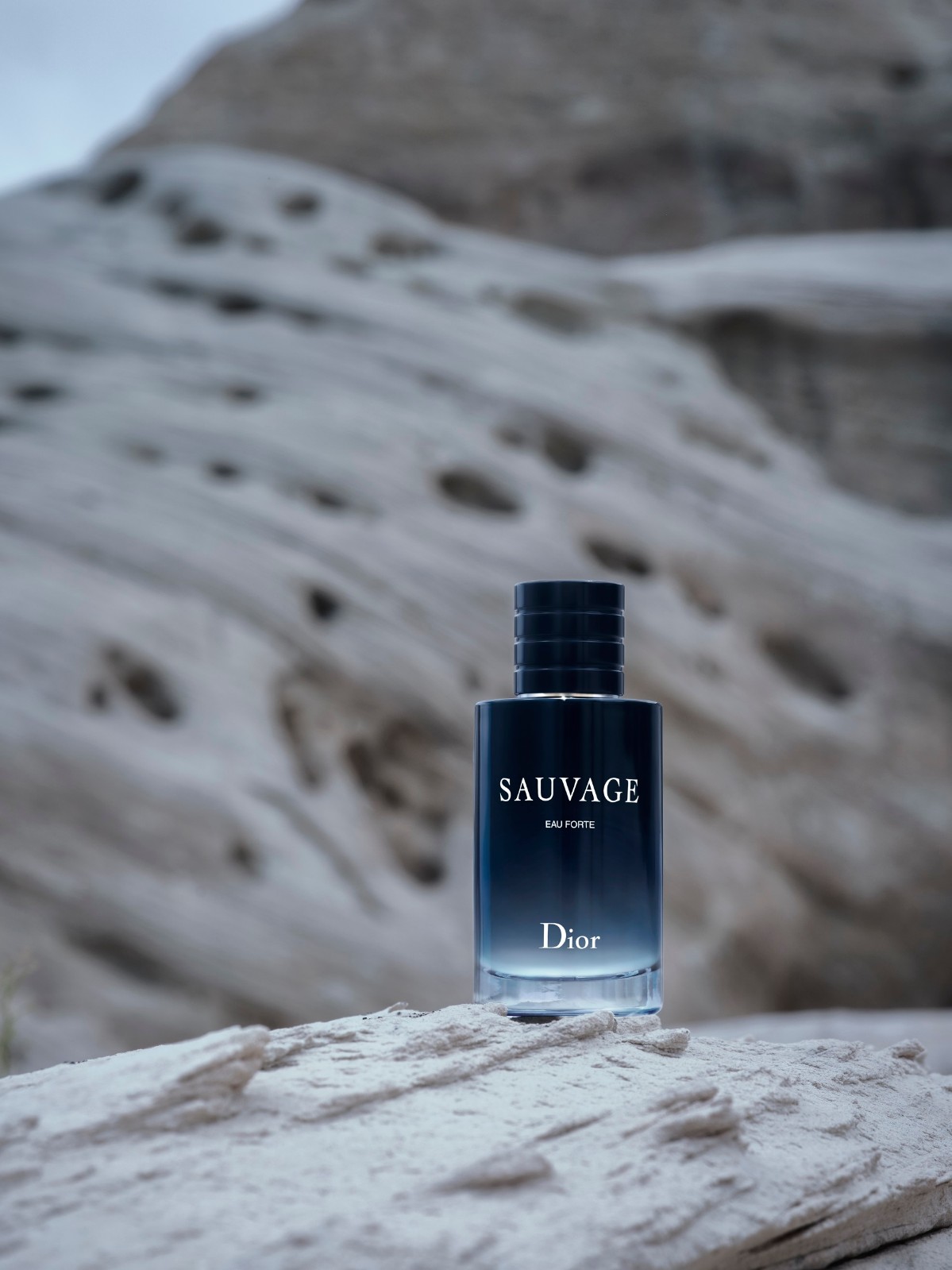 PACK_SAUVAGE_EAU_FORTE_018.jpg