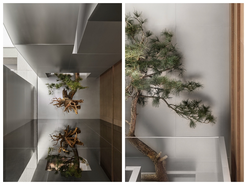 1772723045932868.jpg 图4图5拼图副本.jpg