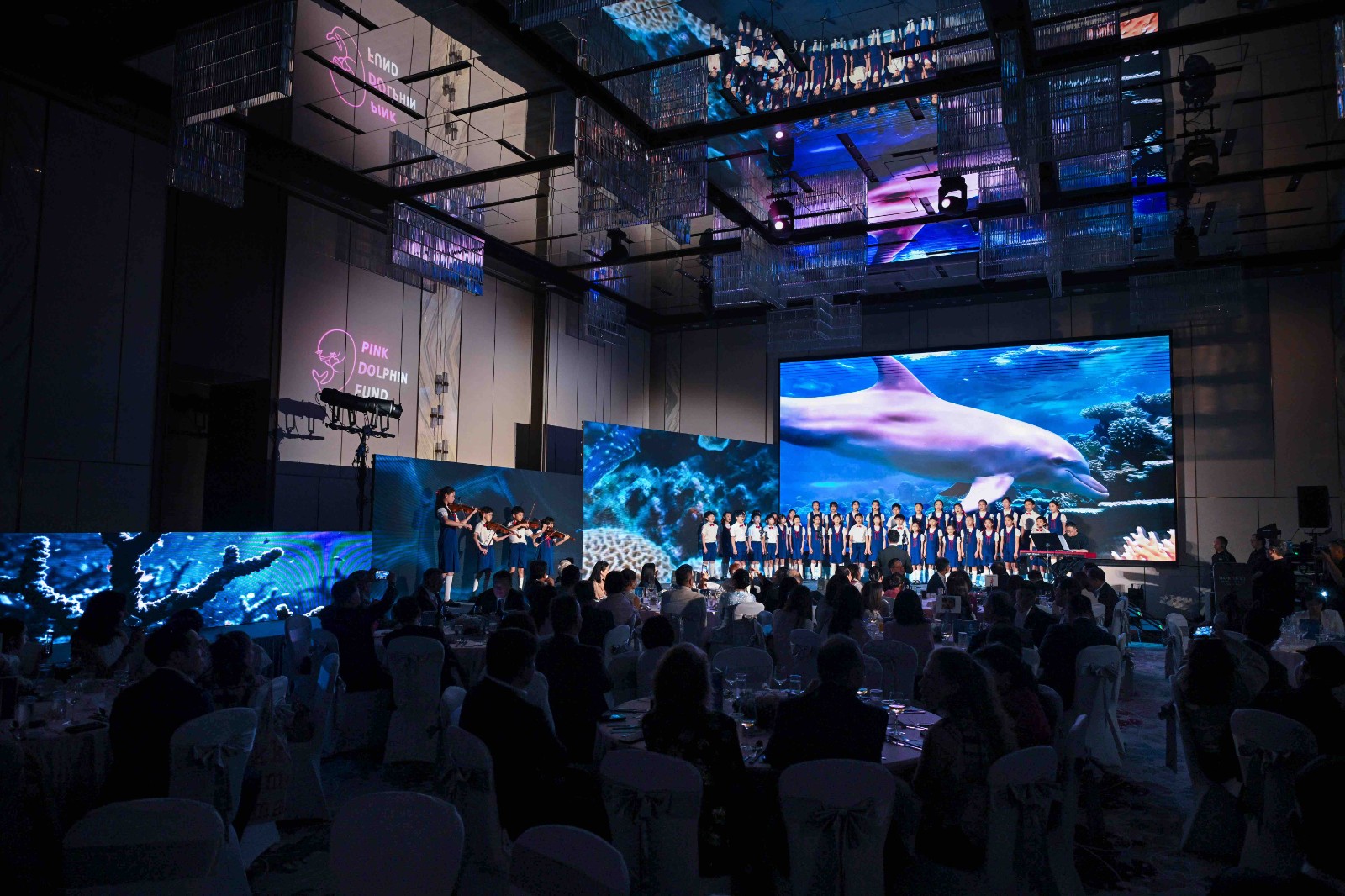 Pink Dolphin Award 1.jpg