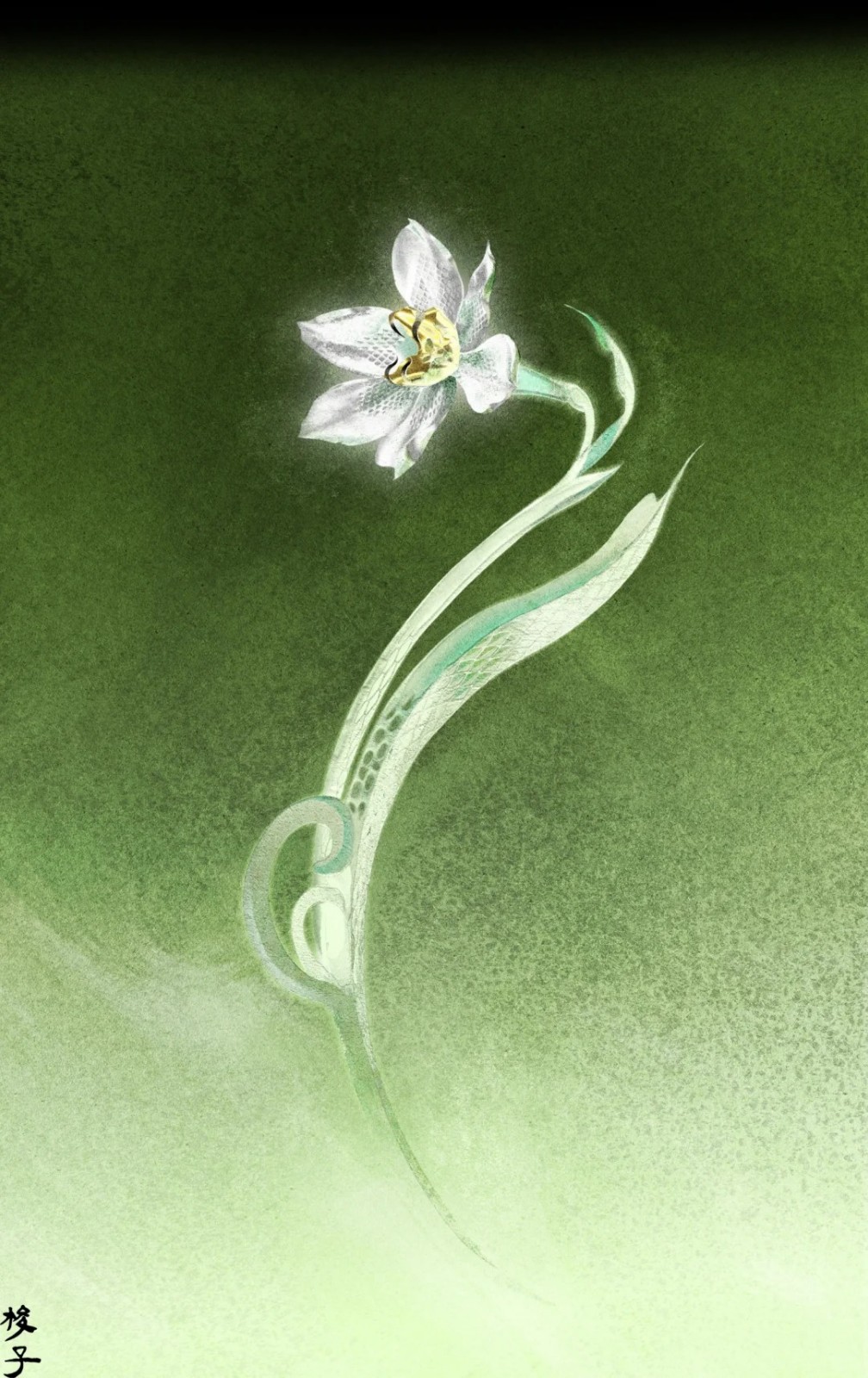 1779781718349392.jpg 蛇水仙_1_梭子Suozi_来自小红书网页版.jpg