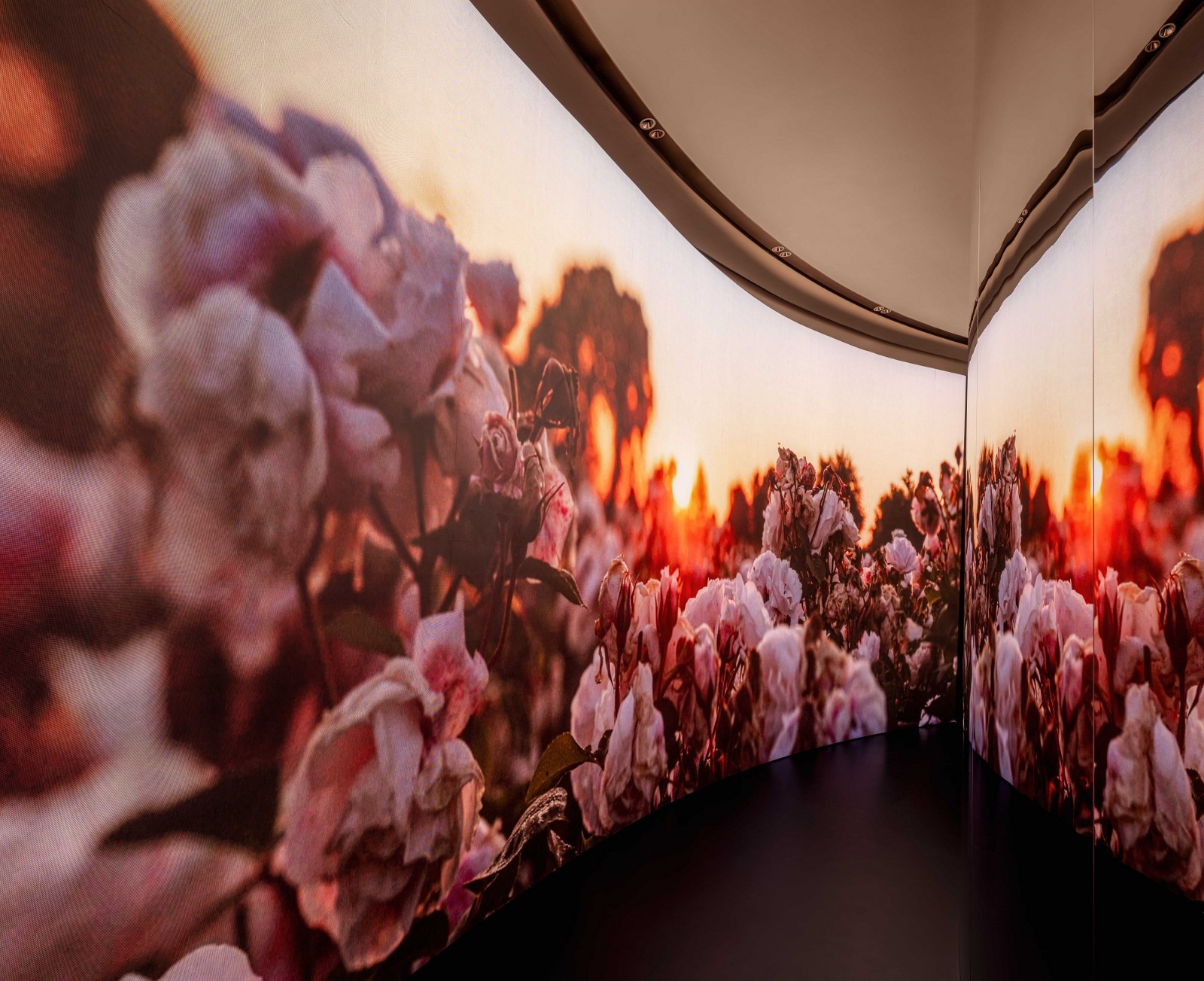 迪奥花秘匿龄限时展 4.jpg